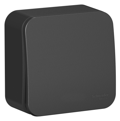 Выключатель одноклавишный Blanca о/п Антрацит 10А с изолирующей пластиной BLNVA101016