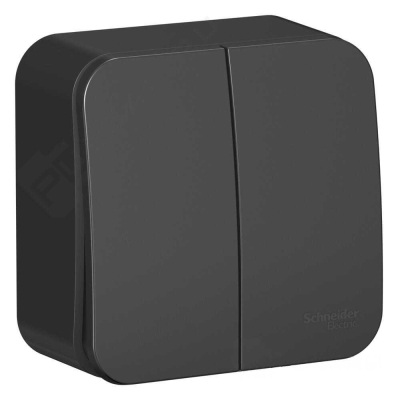 Выключатель двухклавишный Blanca о/п Антрацит 10А с изолирующей пластиной BLNVA105016